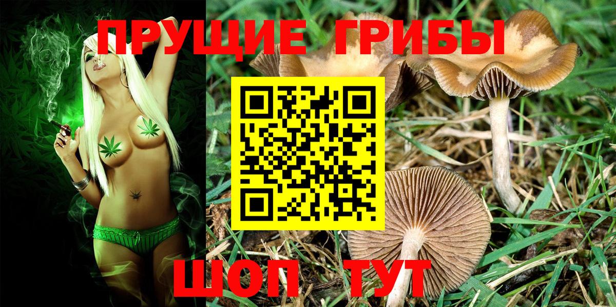 Санкт-Петербург  Псилоцибиновые грибы прущие грибы  Галлюциногенные грибы мухоморы  где найти   Вход с VPN 